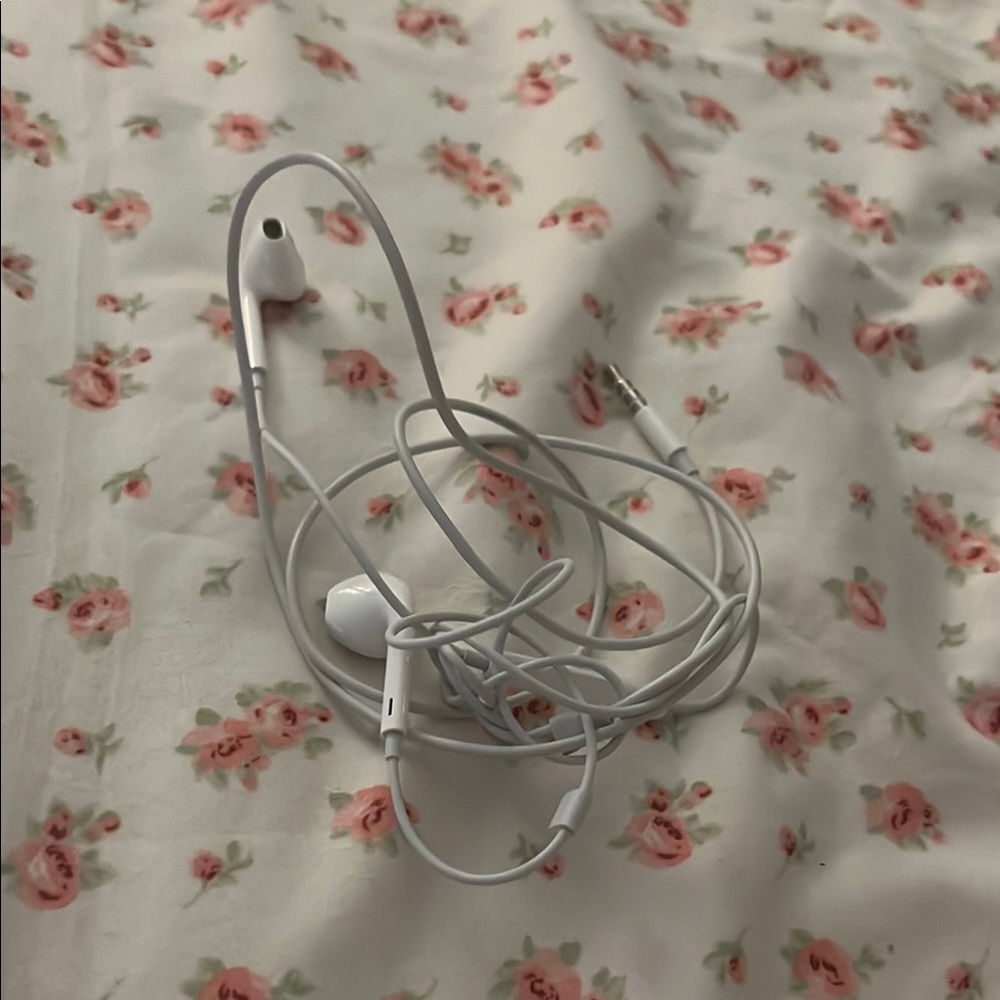 Apple White Earbud Headphones